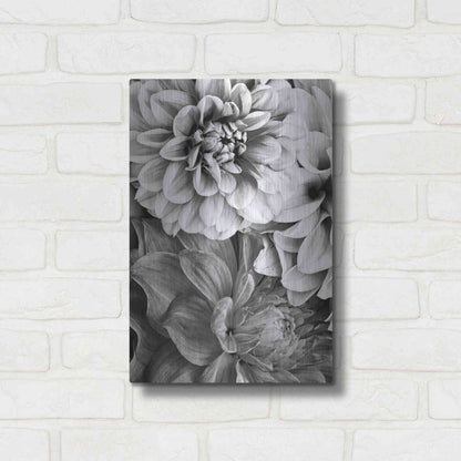 Luxe Metal Art 'B&W Flower 2' by Incado, Metal Wall Art,12x16