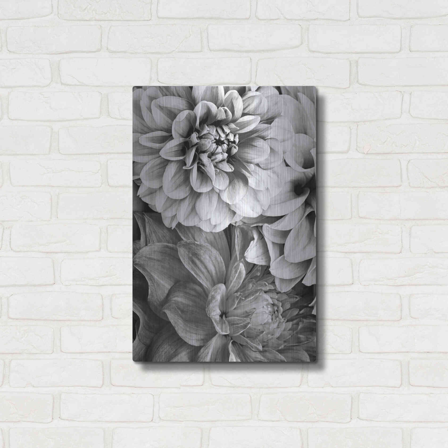 Luxe Metal Art 'B&W Flower 2' by Incado, Metal Wall Art,16x24