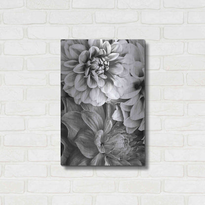 Luxe Metal Art 'B&W Flower 2' by Incado, Metal Wall Art,16x24