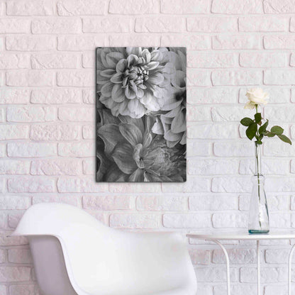 Luxe Metal Art 'B&W Flower 2' by Incado, Metal Wall Art,16x24