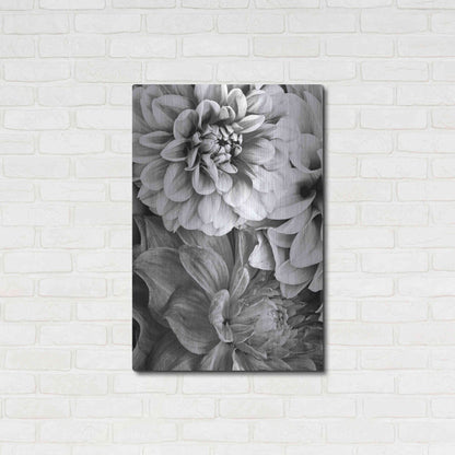 Luxe Metal Art 'B&W Flower 2' by Incado, Metal Wall Art,24x36