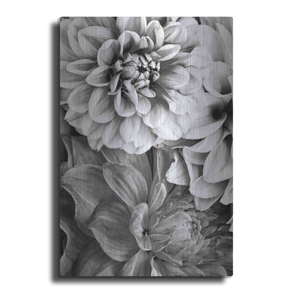 Luxe Metal Art 'B&W Flower 2' by Incado, Metal Wall Art