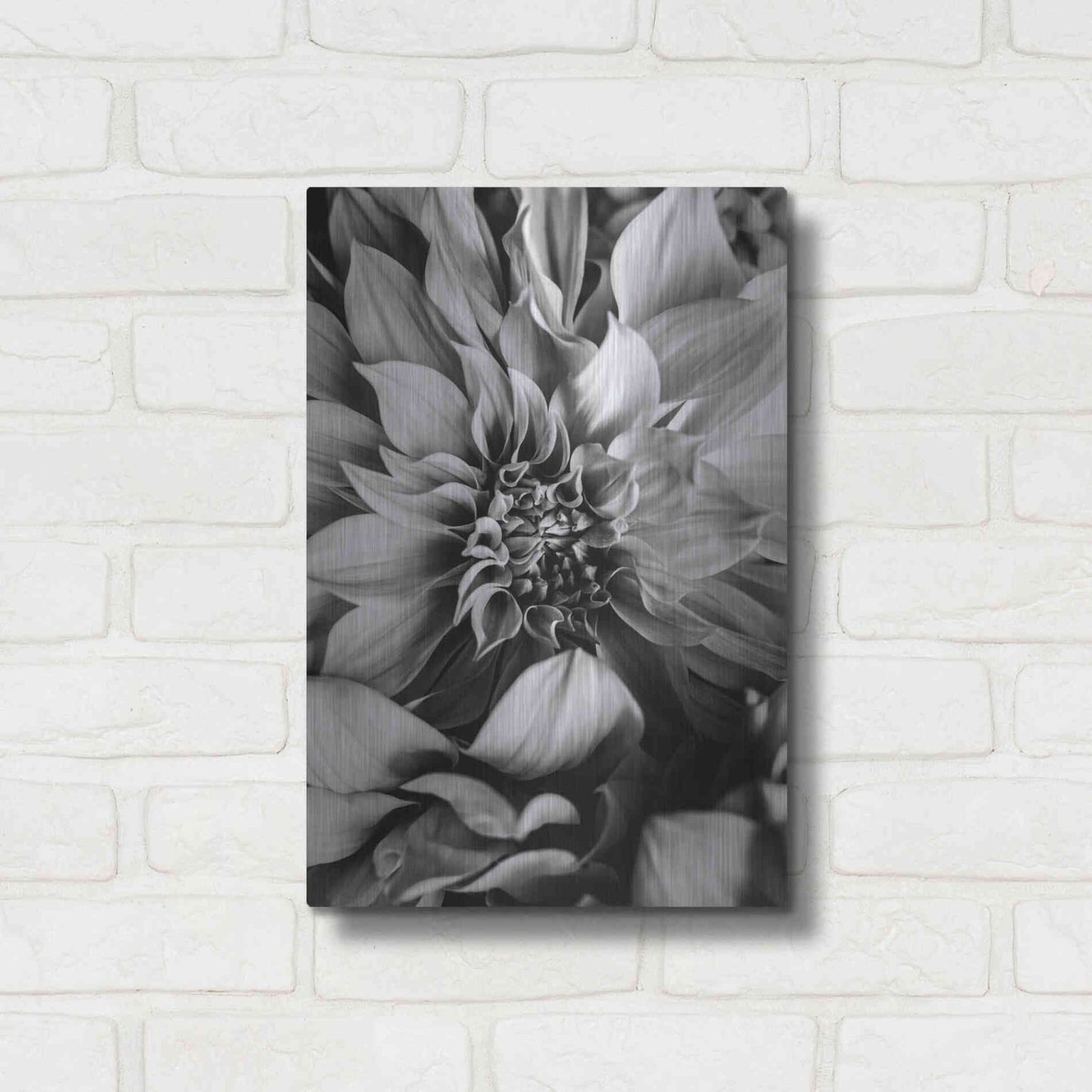 Luxe Metal Art 'B&W Flower 4' by Incado, Metal Wall Art,12x16