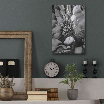 Luxe Metal Art 'B&W Flower 4' by Incado, Metal Wall Art,12x16