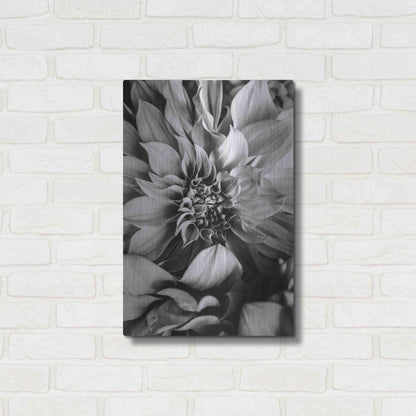 Luxe Metal Art 'B&W Flower 4' by Incado, Metal Wall Art,16x24