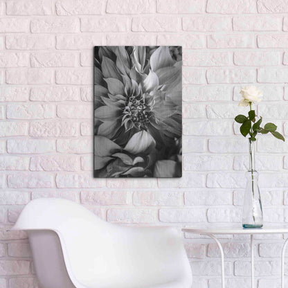 Luxe Metal Art 'B&W Flower 4' by Incado, Metal Wall Art,16x24