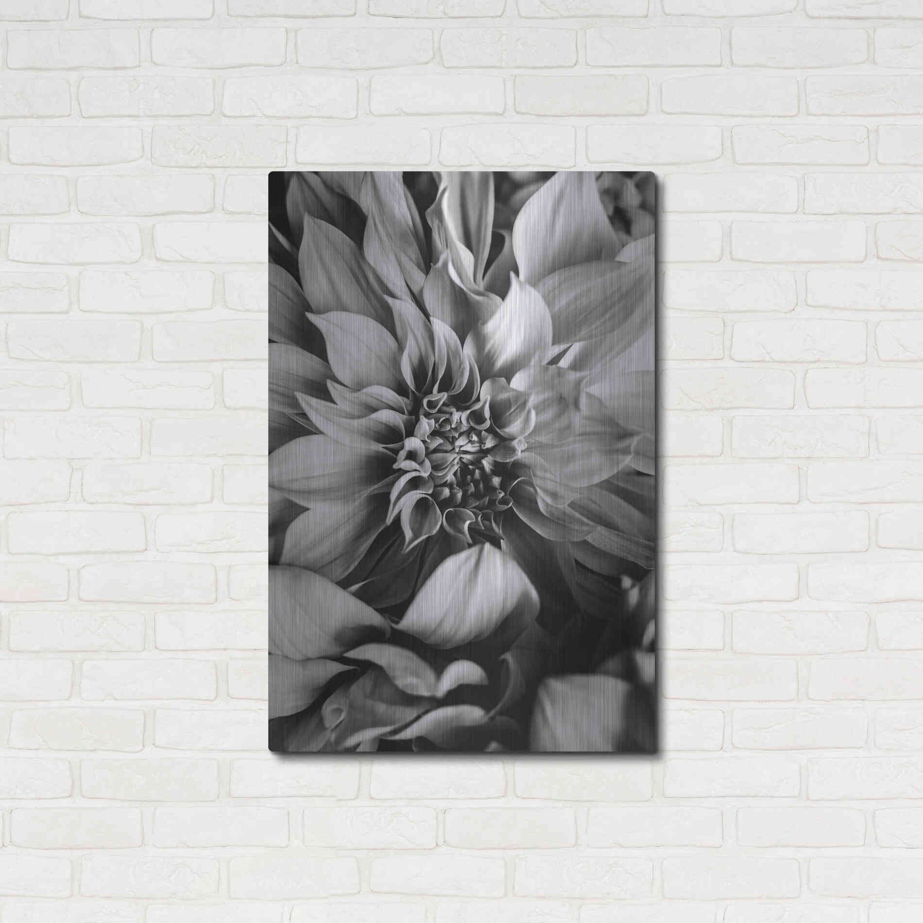 Luxe Metal Art 'B&W Flower 4' by Incado, Metal Wall Art,24x36