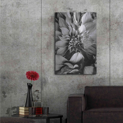 Luxe Metal Art 'B&W Flower 4' by Incado, Metal Wall Art,24x36