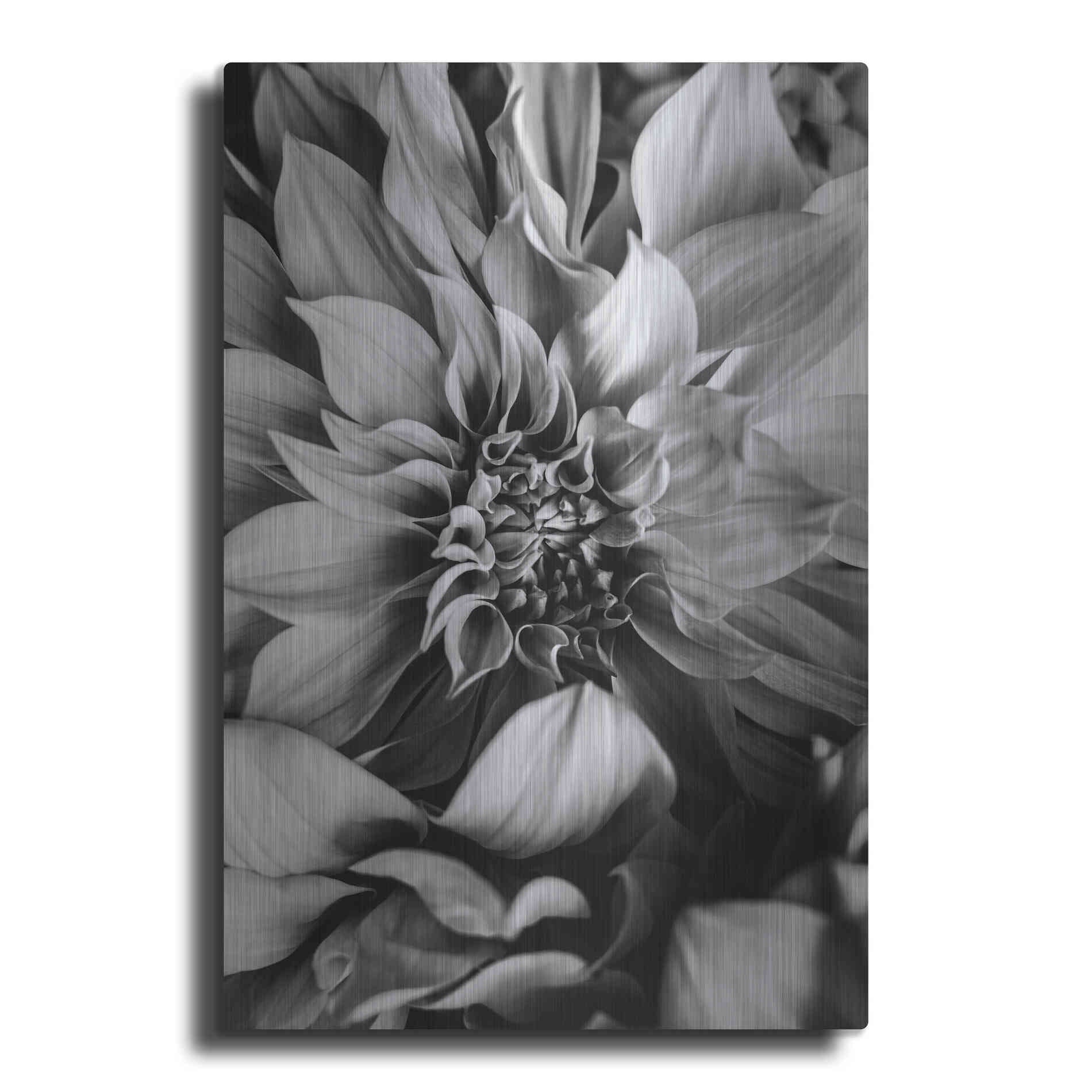 Luxe Metal Art 'B&W Flower 4' by Incado, Metal Wall Art