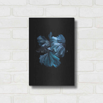 Luxe Metal Art 'Blue Betta' by Incado, Metal Wall Art,12x16