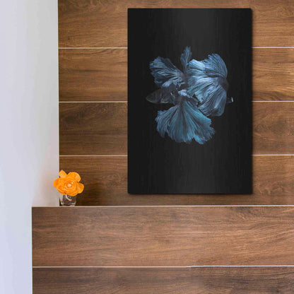 Luxe Metal Art 'Blue Betta' by Incado, Metal Wall Art,12x16