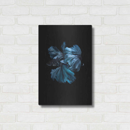 Luxe Metal Art 'Blue Betta' by Incado, Metal Wall Art,16x24