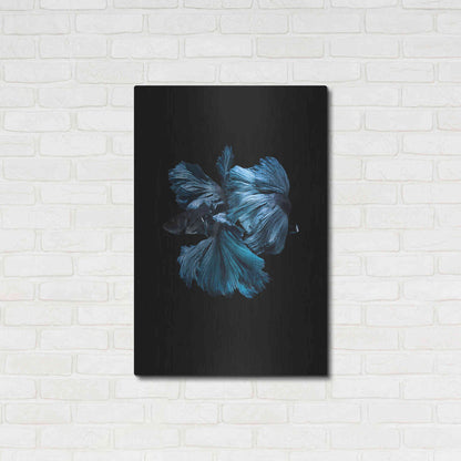 Luxe Metal Art 'Blue Betta' by Incado, Metal Wall Art,24x36
