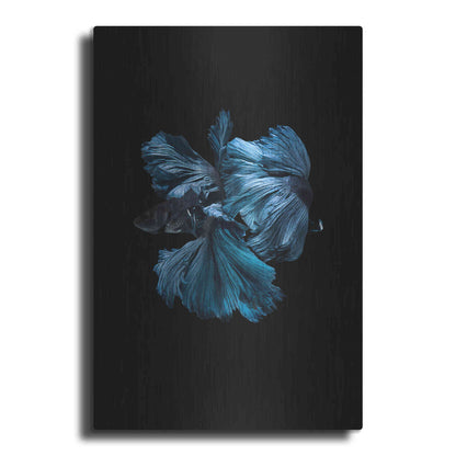 Luxe Metal Art 'Blue Betta' by Incado, Metal Wall Art