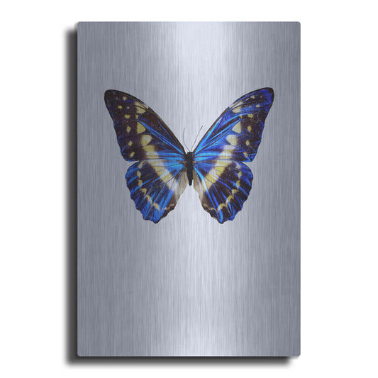 Luxe Metal Art 'Blue Butterfly' by Incado, Metal Wall Art