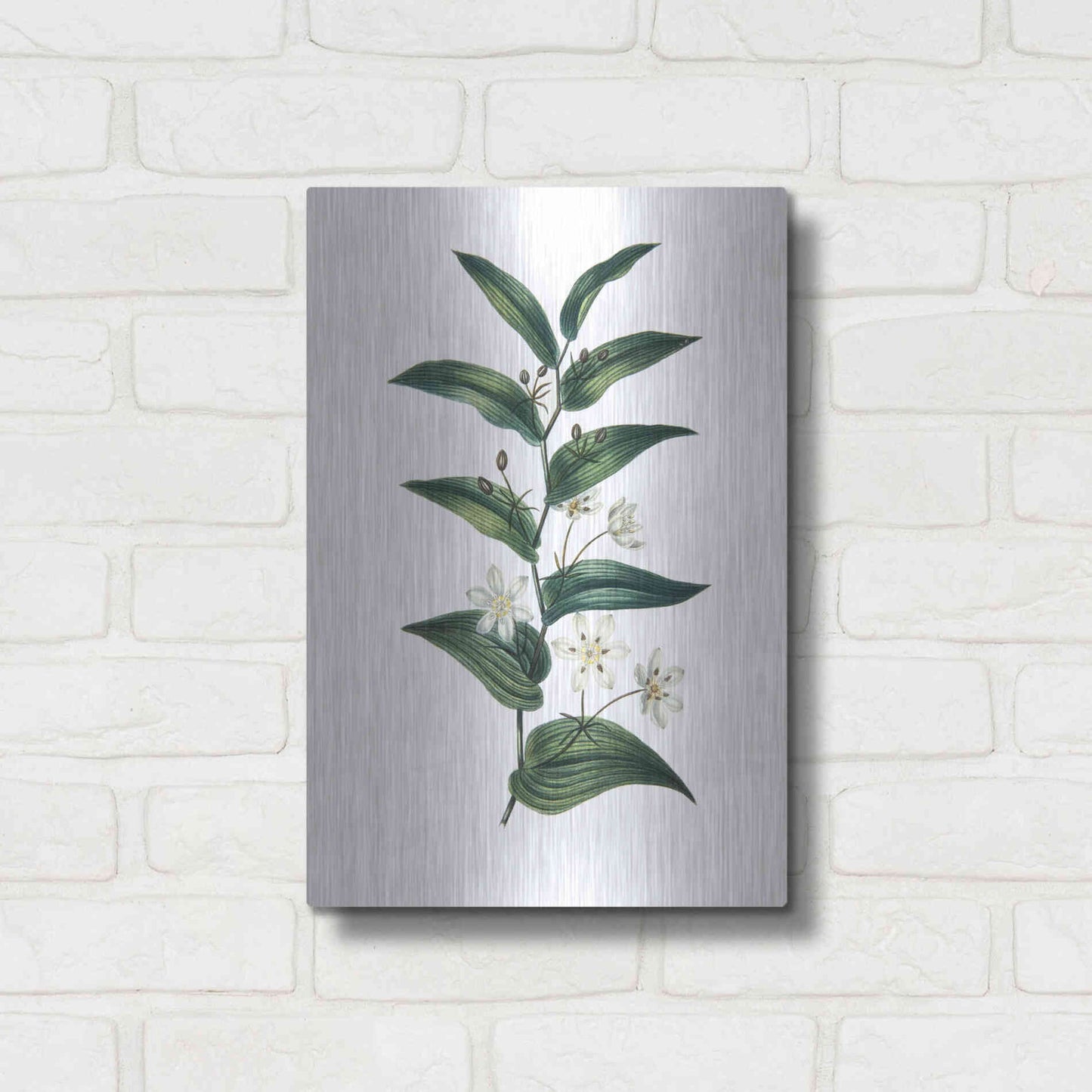 Luxe Metal Art 'Botanica I' by Incado, Metal Wall Art,12x16