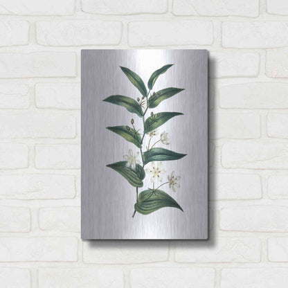 Luxe Metal Art 'Botanica I' by Incado, Metal Wall Art,12x16