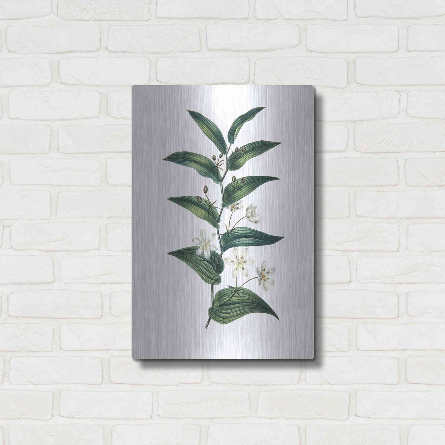 Luxe Metal Art 'Botanica I' by Incado, Metal Wall Art,16x24