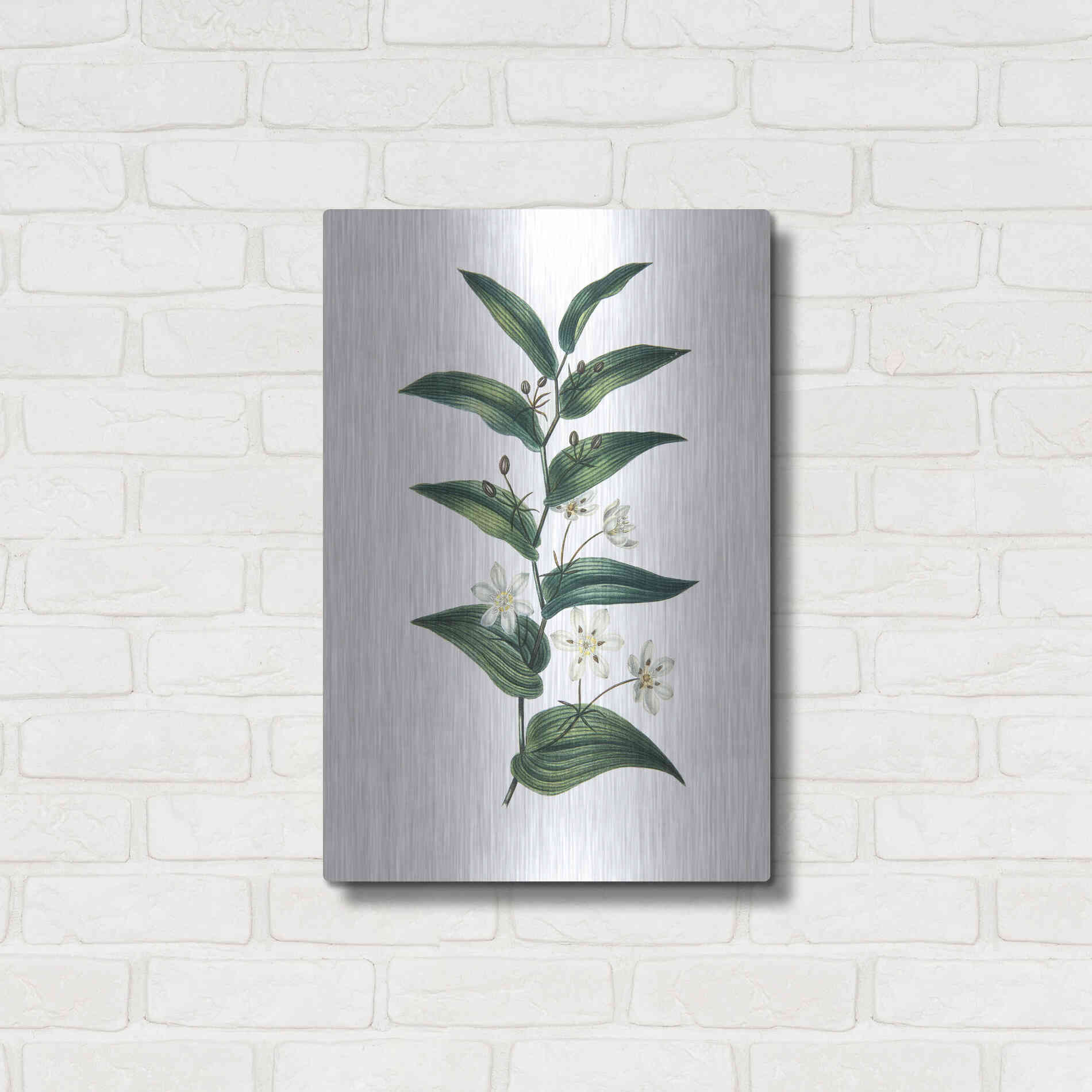 Luxe Metal Art 'Botanica I' by Incado, Metal Wall Art,16x24