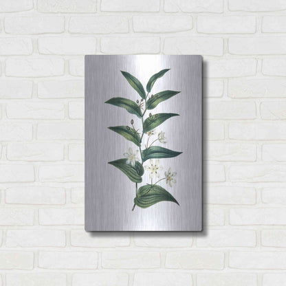 Luxe Metal Art 'Botanica I' by Incado, Metal Wall Art,16x24