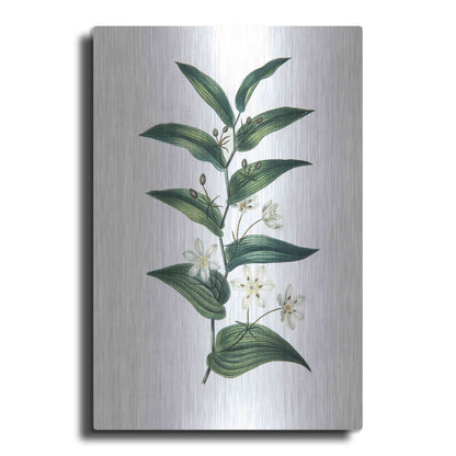 Luxe Metal Art 'Botanica I' by Incado, Metal Wall Art