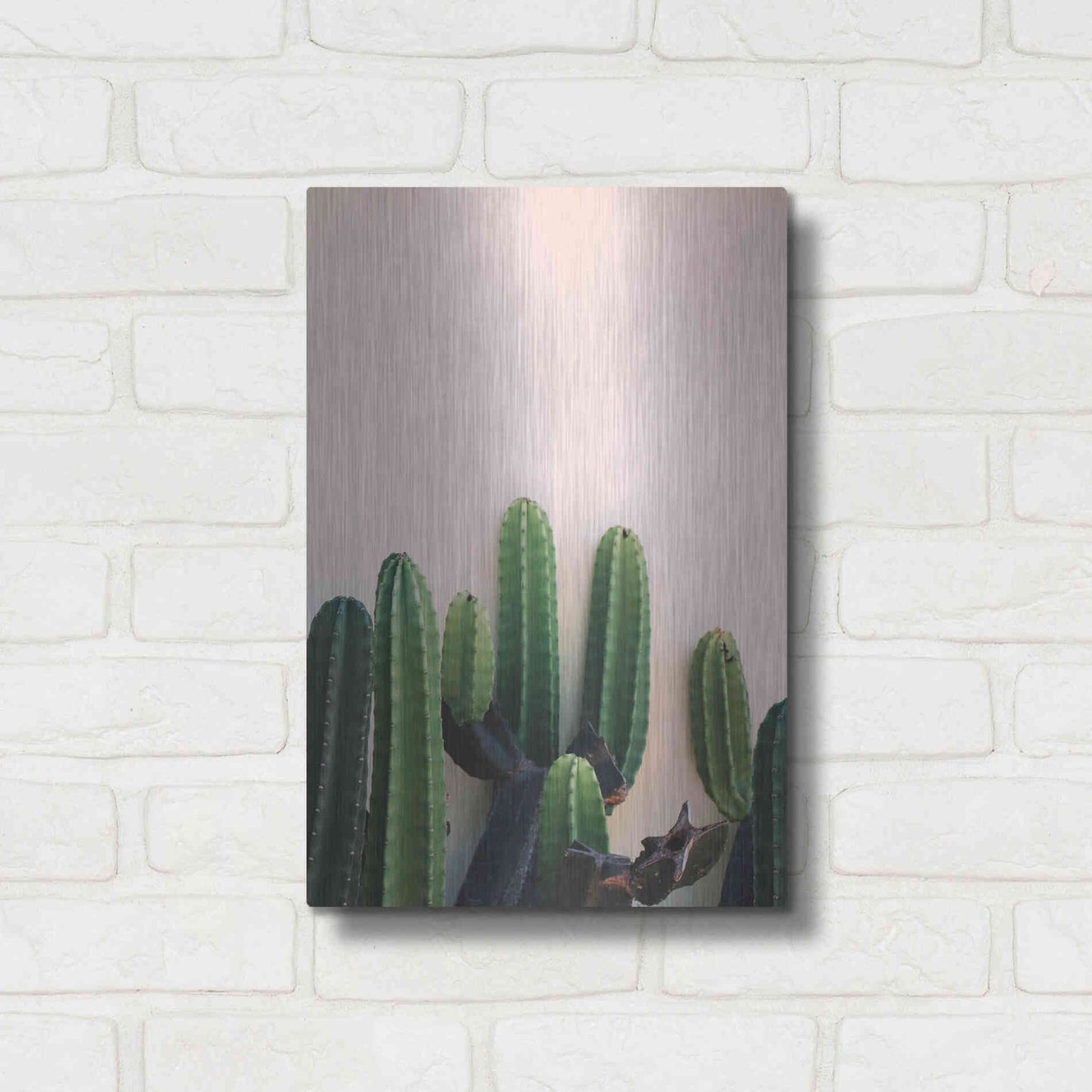 Luxe Metal Art 'Cactus on Pink' by Incado, Metal Wall Art,12x16