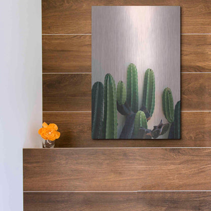 Luxe Metal Art 'Cactus on Pink' by Incado, Metal Wall Art,12x16