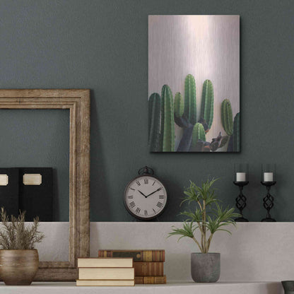 Luxe Metal Art 'Cactus on Pink' by Incado, Metal Wall Art,12x16