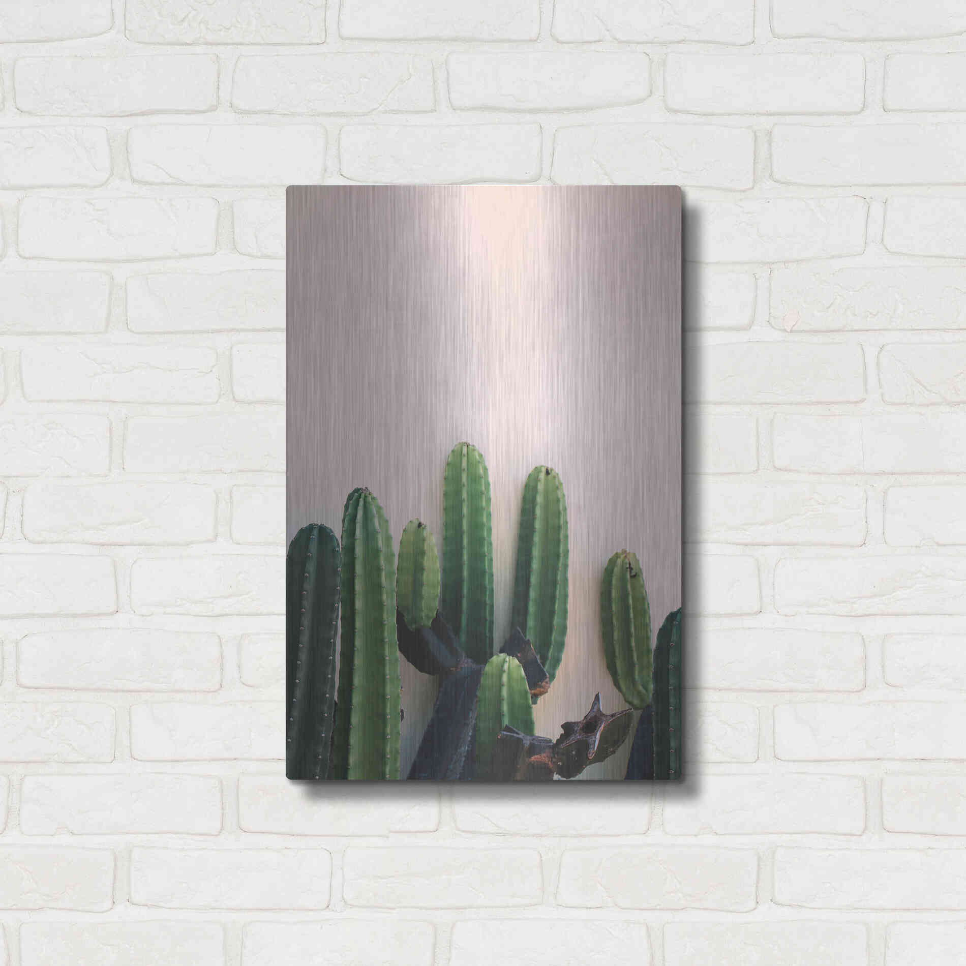 Luxe Metal Art 'Cactus on Pink' by Incado, Metal Wall Art,16x24