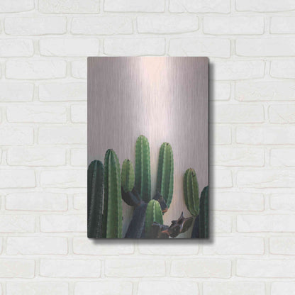 Luxe Metal Art 'Cactus on Pink' by Incado, Metal Wall Art,16x24