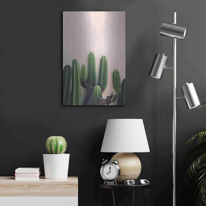 Luxe Metal Art 'Cactus on Pink' by Incado, Metal Wall Art,16x24