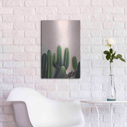 Luxe Metal Art 'Cactus on Pink' by Incado, Metal Wall Art,16x24