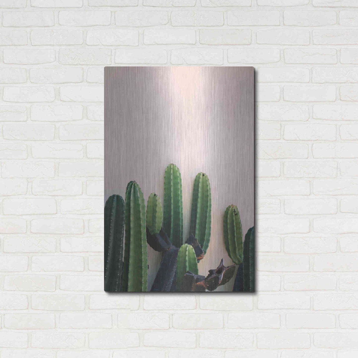 Luxe Metal Art 'Cactus on Pink' by Incado, Metal Wall Art,24x36