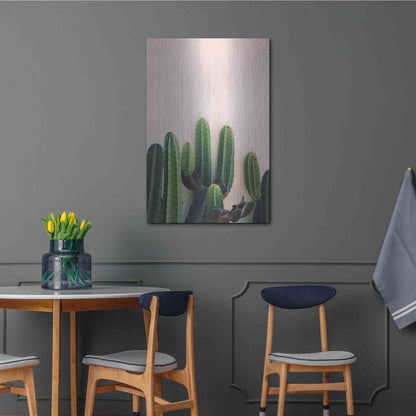 Luxe Metal Art 'Cactus on Pink' by Incado, Metal Wall Art,24x36