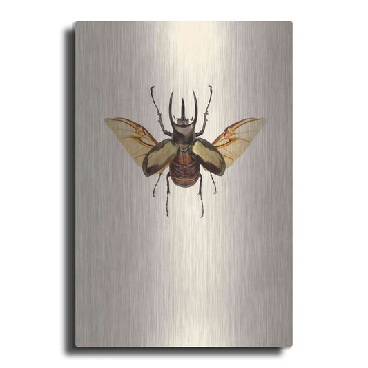 Luxe Metal Art 'Chalcosoma atlas' by Incado, Metal Wall Art
