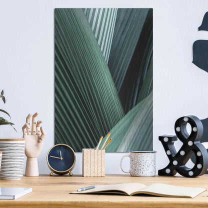 Luxe Metal Art 'Close Up I' by Incado, Metal Wall Art,12x16