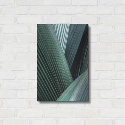 Luxe Metal Art 'Close Up I' by Incado, Metal Wall Art,16x24