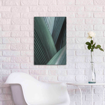 Luxe Metal Art 'Close Up I' by Incado, Metal Wall Art,16x24