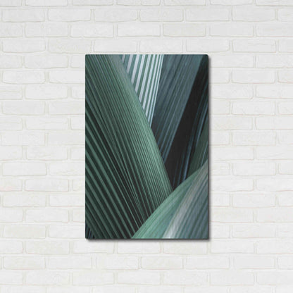 Luxe Metal Art 'Close Up I' by Incado, Metal Wall Art,24x36