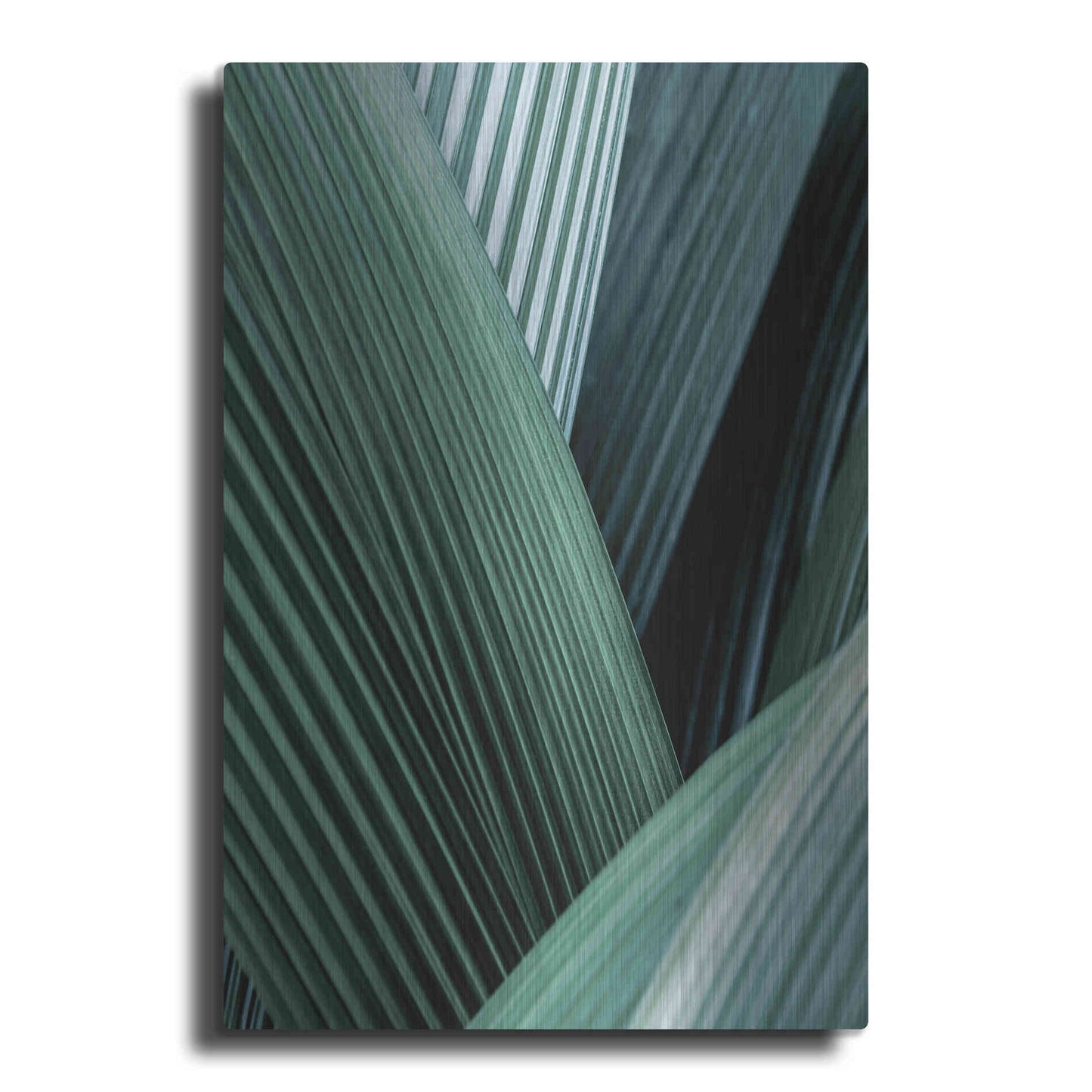 Luxe Metal Art 'Close Up I' by Incado, Metal Wall Art