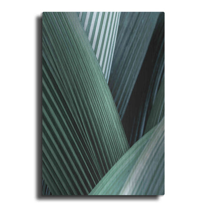 Luxe Metal Art 'Close Up I' by Incado, Metal Wall Art