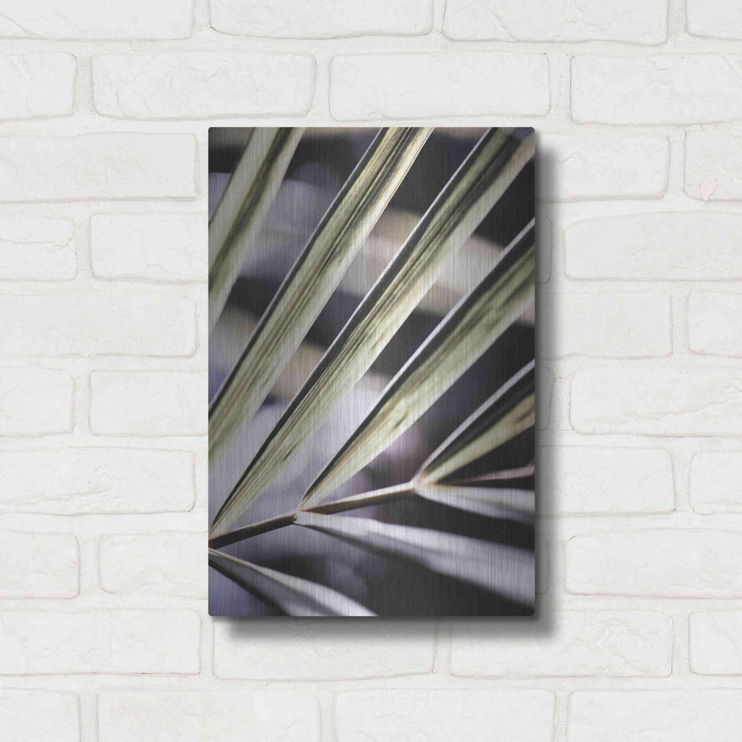 Luxe Metal Art 'Close Up IX' by Incado, Metal Wall Art,12x16