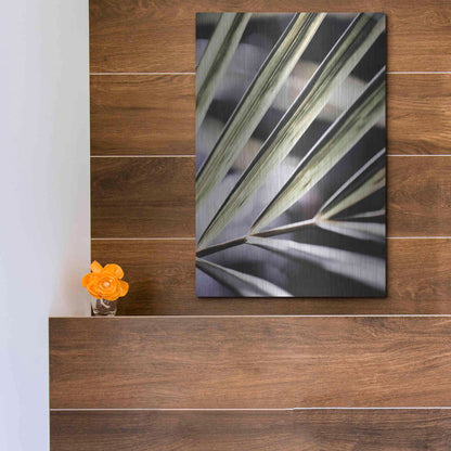 Luxe Metal Art 'Close Up IX' by Incado, Metal Wall Art,12x16