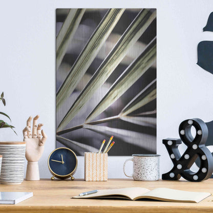 Luxe Metal Art 'Close Up IX' by Incado, Metal Wall Art,12x16