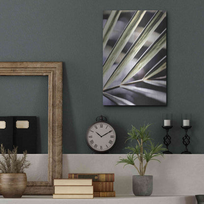 Luxe Metal Art 'Close Up IX' by Incado, Metal Wall Art,12x16
