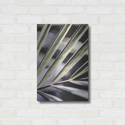 Luxe Metal Art 'Close Up IX' by Incado, Metal Wall Art,16x24