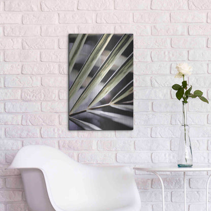 Luxe Metal Art 'Close Up IX' by Incado, Metal Wall Art,16x24