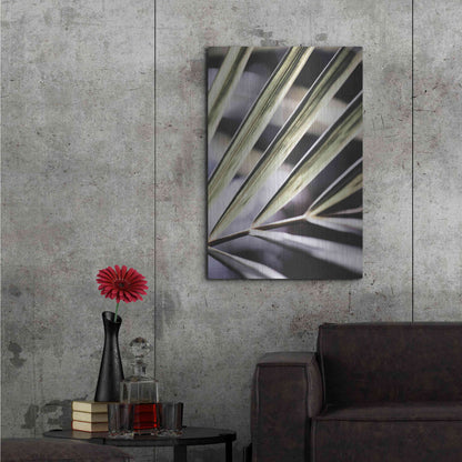 Luxe Metal Art 'Close Up IX' by Incado, Metal Wall Art,24x36