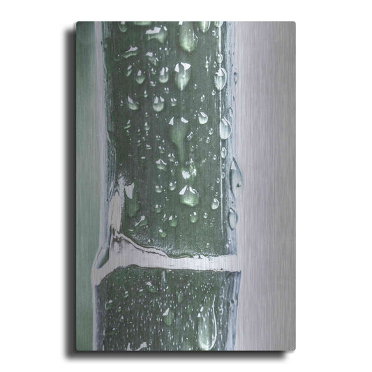 Luxe Metal Art 'Close Up V' by Incado, Metal Wall Art