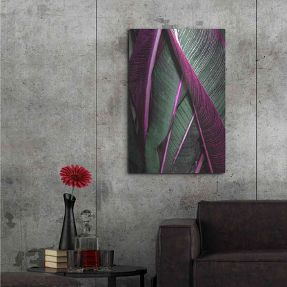 Luxe Metal Art 'Close Up VII' by Incado, Metal Wall Art,24x36